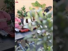 Ensemble de tables et chaises en bois plastique