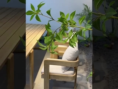 Table à manger et chaises extérieures en teck étanche à l' eau